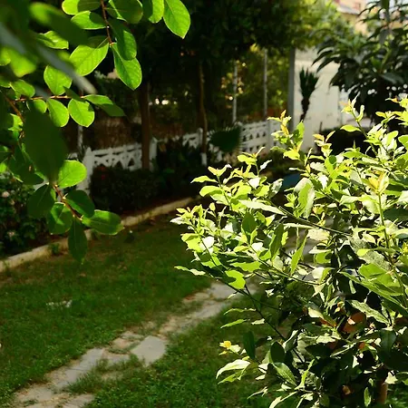 Ξενοδοχείο Pinar